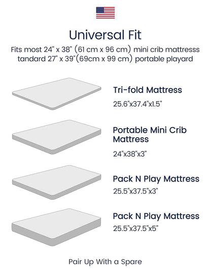 TotAha Premium Stretchy Pack N Play Playard Sheets | Mini Crib Sheets (2-Pack) -Hypoallergenic, Silky Comfort, Buttery Soft, Calming Effect, All-Season Jersey-Knit (Colorful Flora & Blue Flowers)