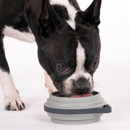 Nomad Small Collapsible Dog Bowl - Image 2