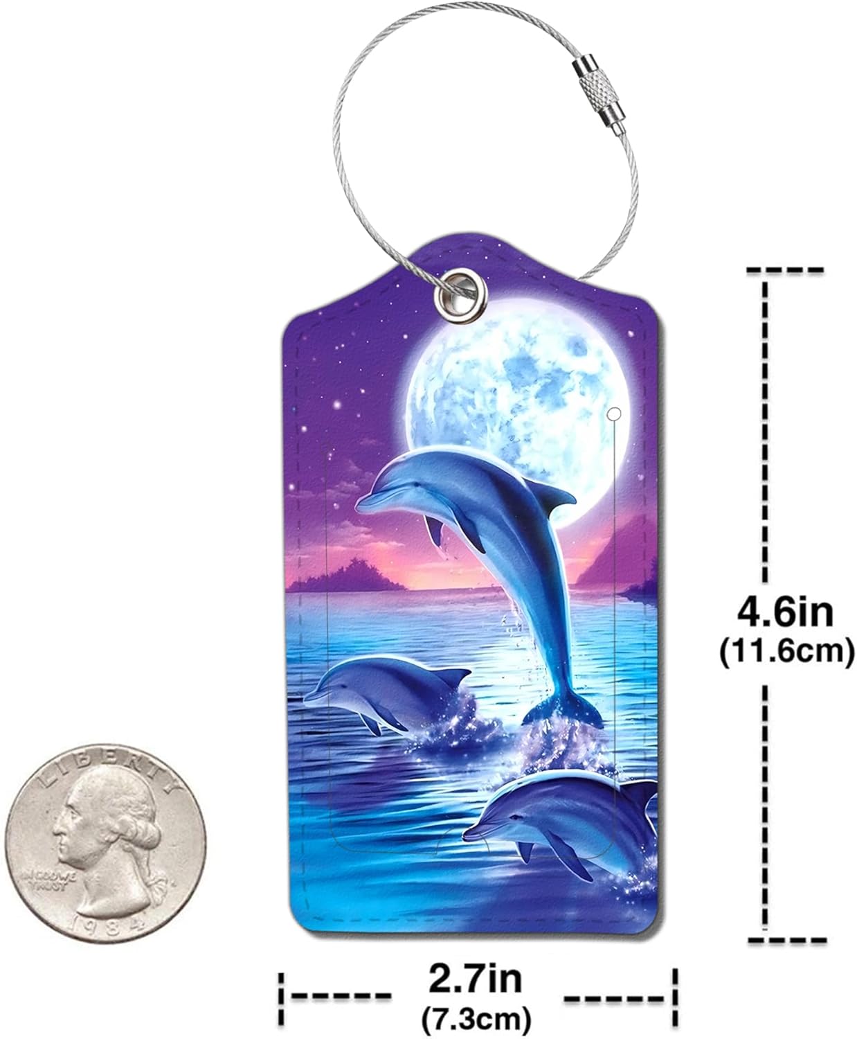 2 Pack Luggage Tag for Suitcase, Cute Unique Leather Bag Tags Identifiers Privacy Cover ID Label with Durable Steel Loop for Women Men Kids Girls Travel，DolphinA