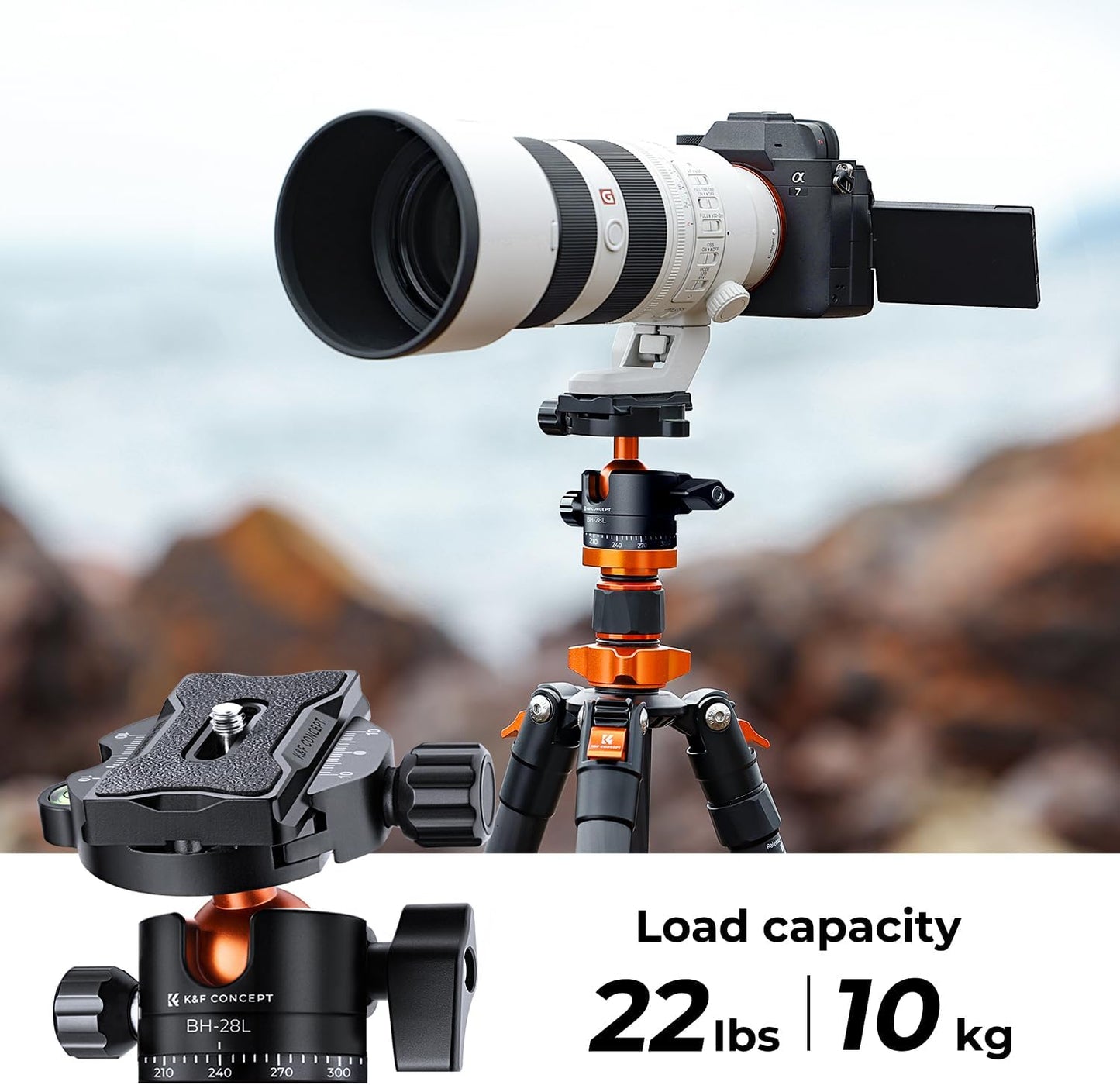 K&F Concept 68" Carbon Fiber Camera Tripod,Compact Tripods with Metal Ball Head,Quick Release Plate,Detachable Monopod 22lbs Load for DSLR Cellphone Tripods(SA255C1) D255C4+BH-28L