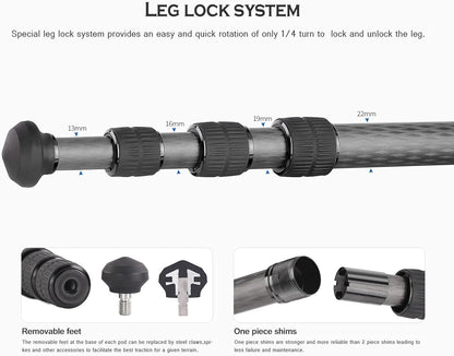 Leofoto 42" Lightweight Carbon Fiber Travel Tripod, Professional Compact Tripod for Camera DSLR Video, Max Load 13Lbs/6KG (LS-224CX)