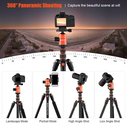 [Upgrade Version] GEEKOTO 77'' Aluminum Camera Stand & Monopod, Foldable Travel Gear with 360° Ball Head and Quick Release Plate for DSLR, Work, and Content Creation