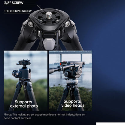 FALCAM TreeRoot F38 Quick Lock Camera Carbon Fiber Travel Tripod Max Payload 50Kg/110lbs (R140T)-T00A4904