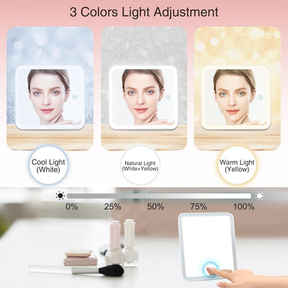 Relavel Travel Makeup Bag With LED Mirror Portable Travel Makeup Organizer 3 Color Adjustable Brightness Waterproof Cosmetic Train Case with Removable Dividers Makeup Storage for Women, Pink