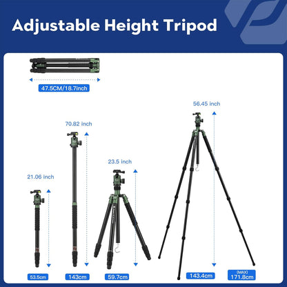 Fotopro 68" Camera Tripod for DSLR, Heavy Duty Compact Travel Tripod with Ball Head, Detachable Monopod with Quick Release Plate and Bag, Load up to 12KG/26.5lbs, Green