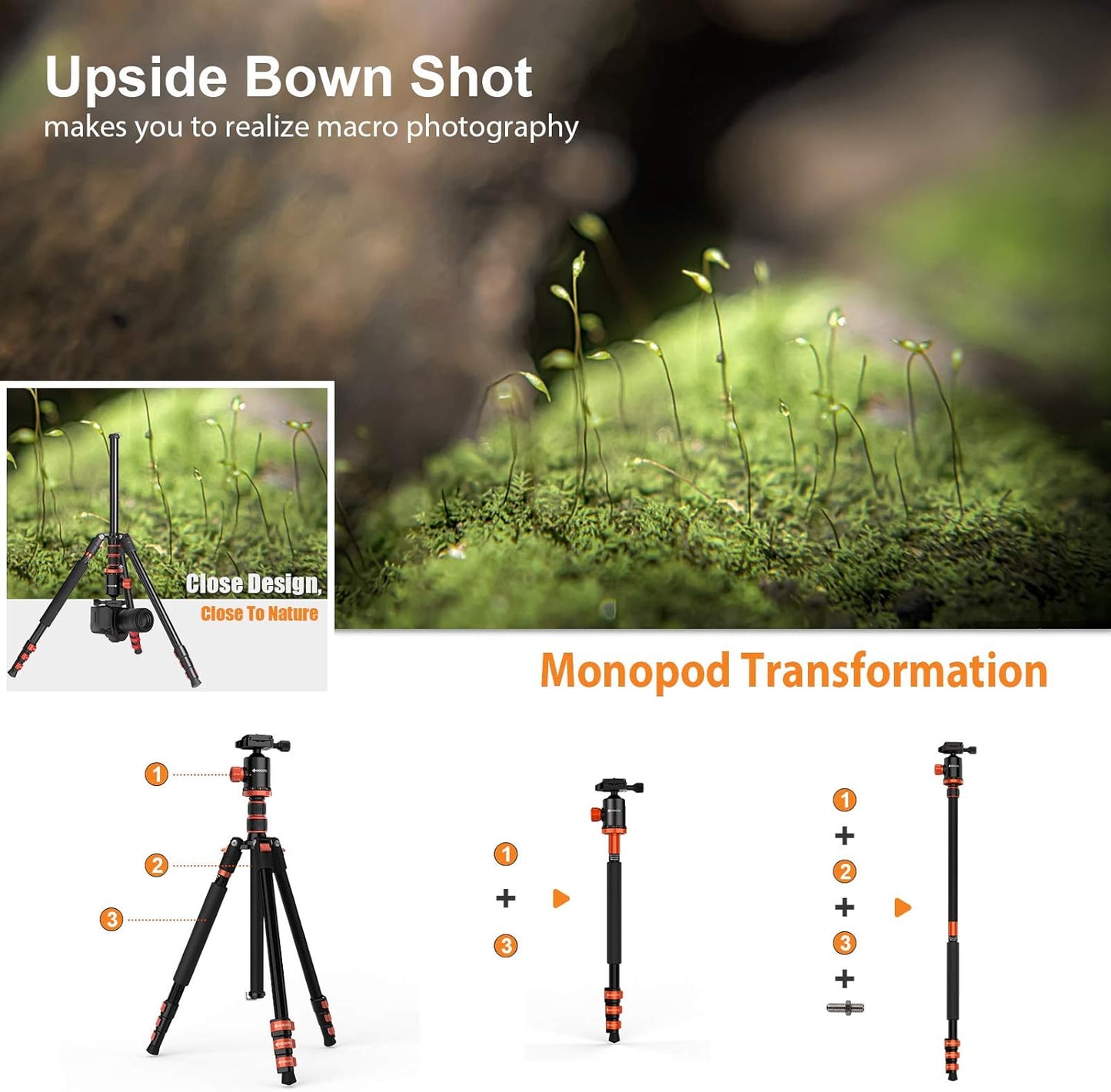 GEEKOTO Compact Aluminum Camera Tripod with 360° Ball Head, 77-Inch Professional Stand with 1/4" Quick Release Plate for DSLR, Video Conferencing, Travel and Work