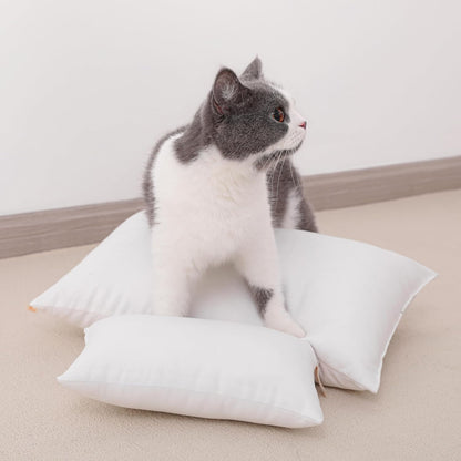 NTBAY Tiny Pillows, Down Alternative 7"x11" Microfiber Mini Pillow for Travel, Pets, Soft Machine Washable Small Pillows for Neck, Wrist, Lumbar and Knee, Aqua