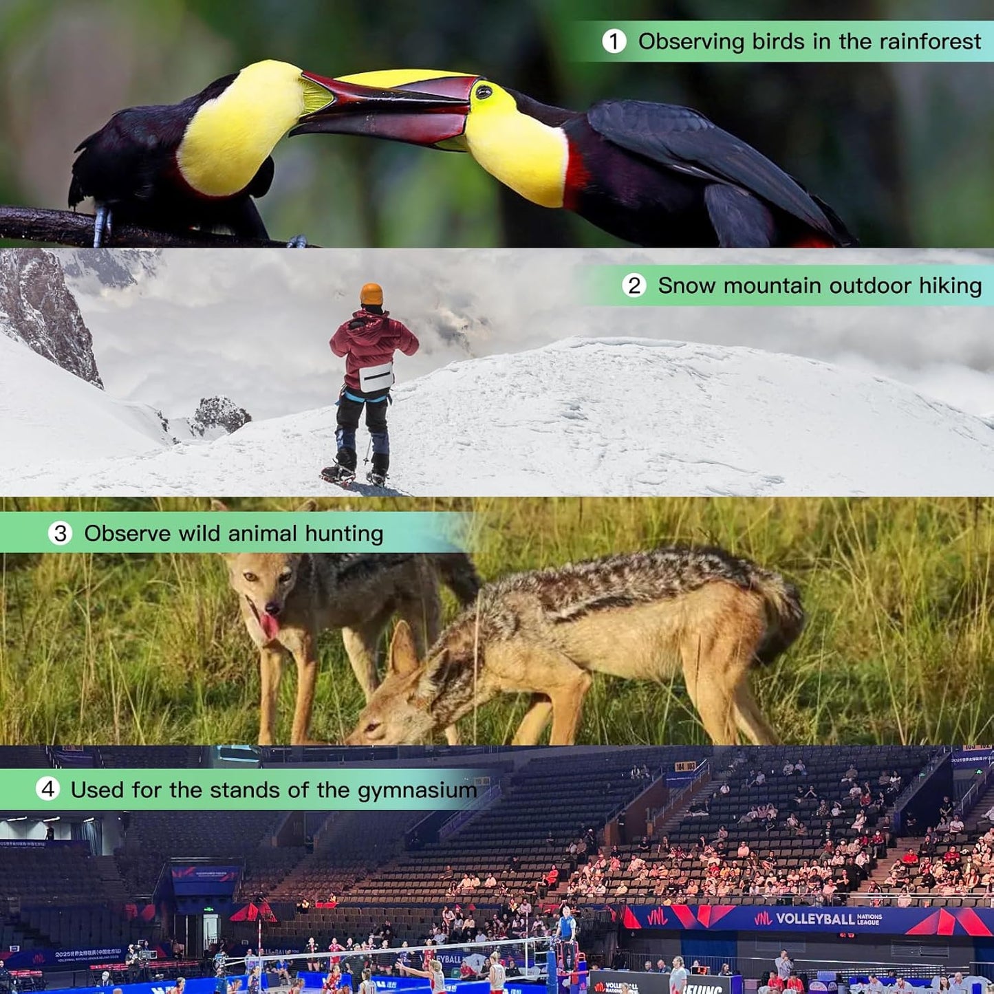 8x42EDII Compact Binoculars for Adults – High-Powered BAK4 Prisms, Diamond White Coating, Waterproof & Fogproof, Rubber Armored – Ideal for Bird Watching, Hunting, Travel, Outdoor Sports