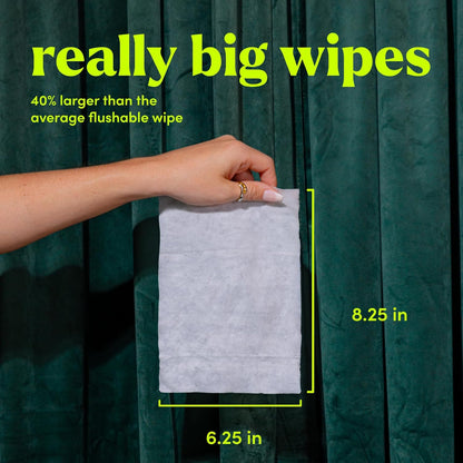 goodwipes Flushable Butt Wipes - Vitamin E & Aloe - Sewer & Septic Safe - Extra Large Adult Wet Wipes For Women & Men - Bathroom Essentials - Rosewater, 418 Count (8 Packs + 1 Travel)