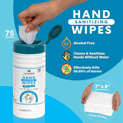 4 Pack Hand Sanitizing Wipes, Alcohol Free 300 Count Canister Disposable Hand - Image 4