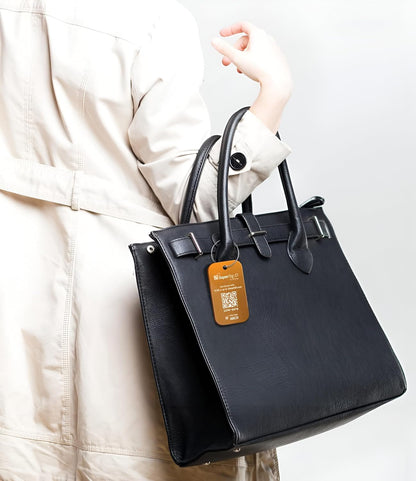 Dynotag® Sentry Series Solid Metal Web Enabled Smart Luggage Tag ID + Steel Loop, Anodized Aluminum with DynoIQ™ & Lifetime Recovery Service (Frost Gold)