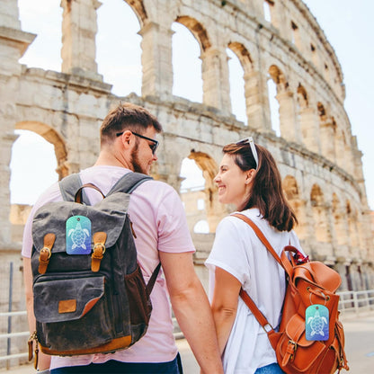 2 Pack Luggage Tag for Suitcase Turtle Leather Suitcase Tags with Privacy Name ID Label and Stainless Steel Loop for Travel Bag