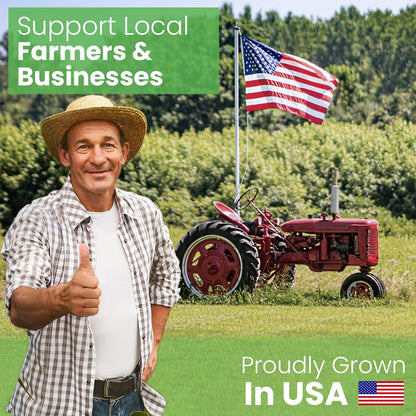 Bean Products 13" x 18" Travel Bed Pillow for Sleeping – Organic Millet Fill with Organic Cotton Fabric, Soft Toddler Head Pillow – Eco-Friendly, Breathable, and Durable Sleep Aid, Made in The USA