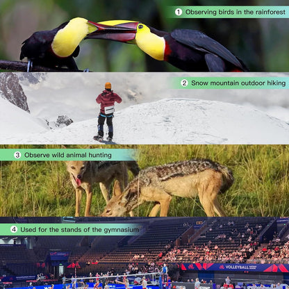 12X50ED Compact Binoculars for Adults – High-Powered BAK4 Prisms, Diamond White Coating, Waterproof & Fogproof, Rubber Armored – Ideal for Bird Watching, Hunting, Travel, Outdoor Sports