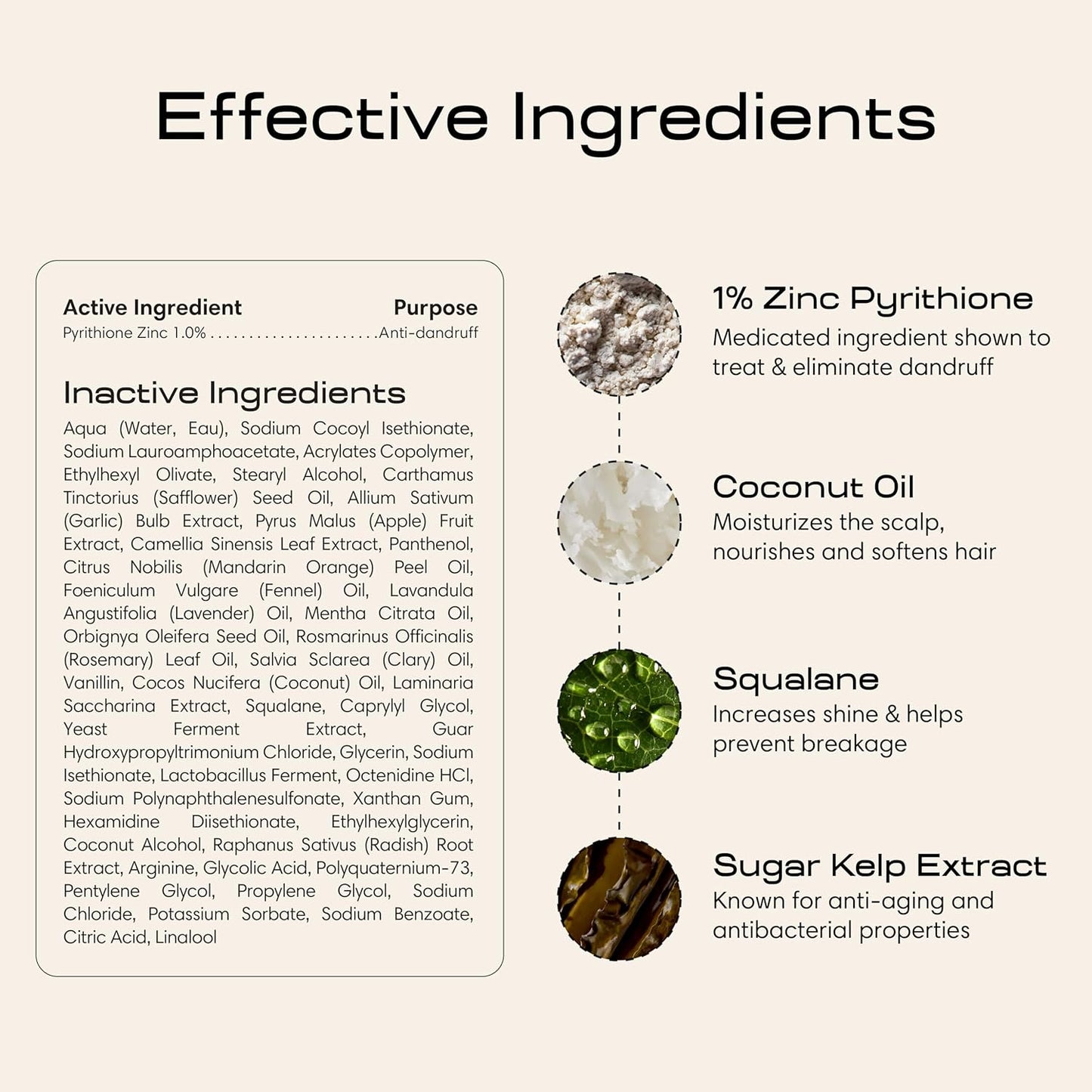 Jupiter Balancing Anti Dandruff Shampoo Duo, for Women & Men, Physician-Formulated for Flaky, Itchy, Oily, Dry Scalp, & Paraben-Free, Anti-Dandruff Shampoo with Zinc, 2 pack, 14 fl oz ea