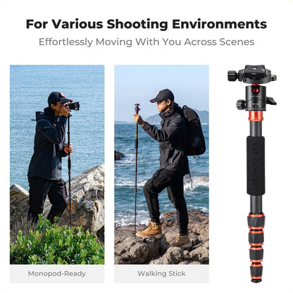 K&F Concept 60 inch Carbon Fiber Camera Tripod,Super Lightweight Compact Travel Tripod with 360 Degree Ball Head,Quick Release Plate, Detachable Monopod, 17 lb Load Capacity for SLR DSLR, A225C0+BH25L