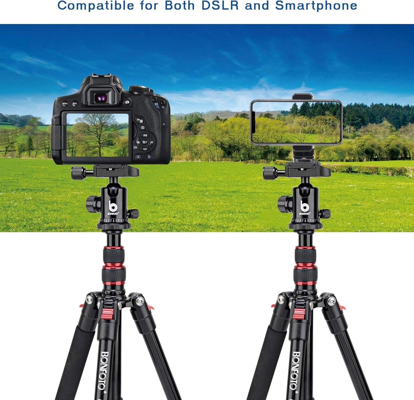BONFOTO B690A Camera Tripod for Travel,Lightweight Aluminum Portable DSLR Tripod with 360 Degree Ball Head and Carry Bag, Camera Stand for Ring Light & Canon Nikon Sony DSLR