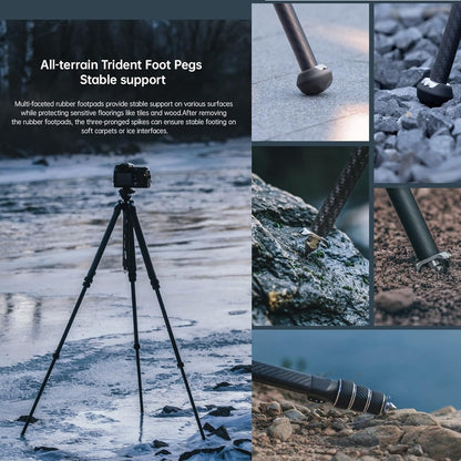 Falcam TreeRoot 61" F38 Pro Quick Lock Travel Tripod,with 360 Degree Damping Ball Head Load Capacity 5kg/11lbs,Carbon Fiber Tripod with F22 Interfaces, 1/4" Screw,Carry Strap Holes for Cameras