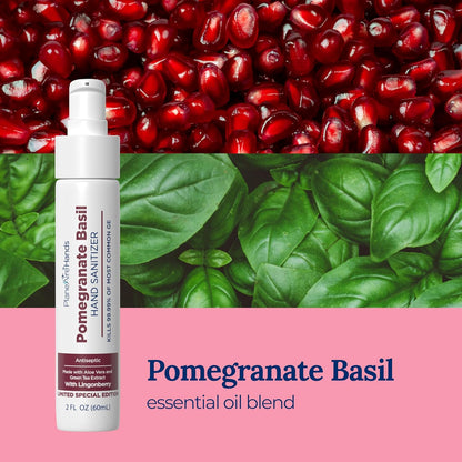 Pomegranate Basil Lotion Hand Sanitizer | Travel Size | Moisturizing Hand Lotion | Made with Aloe Vera & Essential Oils | Rich in Vitamin E | Cleanse & Moisturize | Scented Hand Sanitizer | 3-Pack