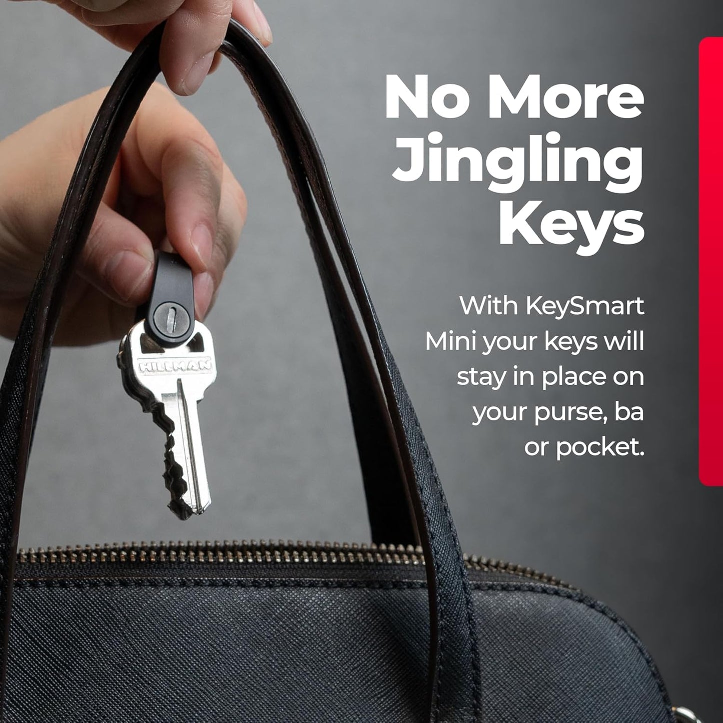 KeySmart Keychain Key Holder - Compact Key Organizer for Key Chain, EDC Key Chains, Key Ring Keychains