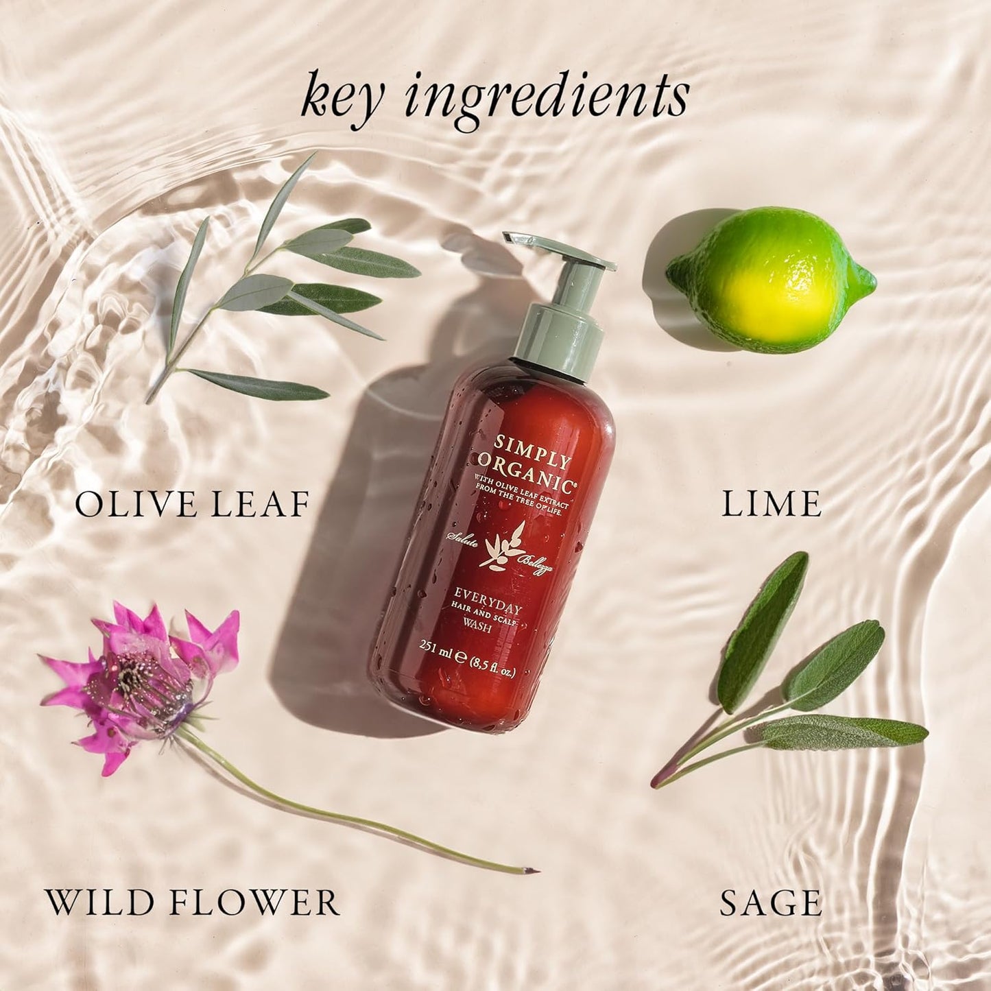 Hair & Scalp Wash Shampoo Made in Italy, All Natural Cruelty Free Hair Care for Women & Men with Organic Sage, Lime, Wildflowers & Olive Leaf Extract, 251ml/8.5floz, EVERYDAY