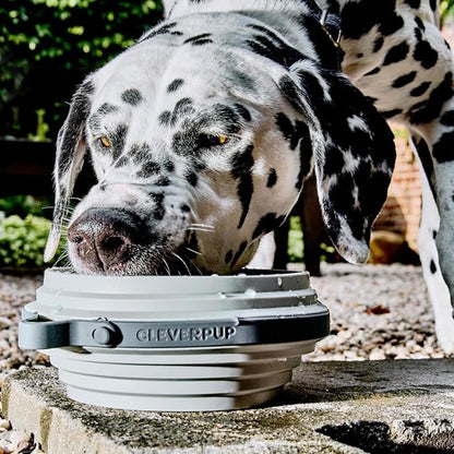 Nomad Large Collapsible Dog Bowl - Image 3