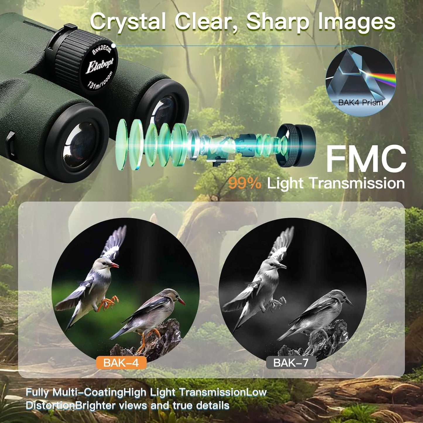 8x42EDII Compact Binoculars for Adults – High-Powered BAK4 Prisms, Diamond White Coating, Waterproof & Fogproof, Rubber Armored – Ideal for Bird Watching, Hunting, Travel, Outdoor Sports