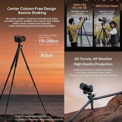 FALCAM TreeRoot Carbon Fiber Medium Tripod, 4-Section Legs, 50kg Vertical Load, 30mm Large Diameter, Quick Lock Tripod Only-T00A4901