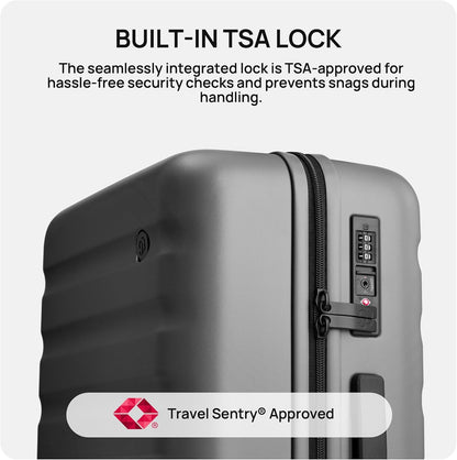 NINETYGO Carry On Luggage 22x14x9 Airline Approved, 20 Inch Luggage with Smooth Spinner Wheels, Lightweight, Hard Shell PC Suitcase Carry-On, Travel Luggage, TSA Approved (Purple, Rhine Basic2.0)