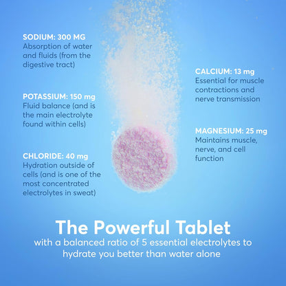 Nuun Sport Electrolyte Tablets with Magnesium, Calcium, Potassium, Chloride & Sodium, Gluten Free & Vegan, Watermelon, 4 Pack (40 Servings Total)