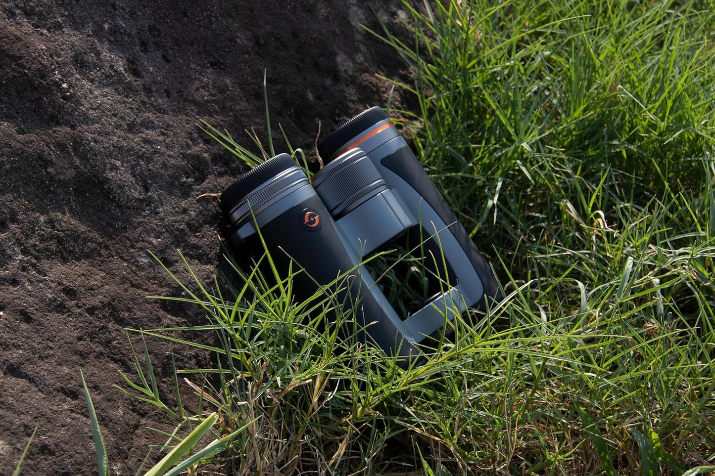 12x32 Compact Binoculars for Adults High Powered, FMC, Bak-4 Prism, Easy Focuse, Low Light Vision, Waterproof, Shockproof, Fogproof, for Sports, Bird Watching, Concerts, Travel, Cruise