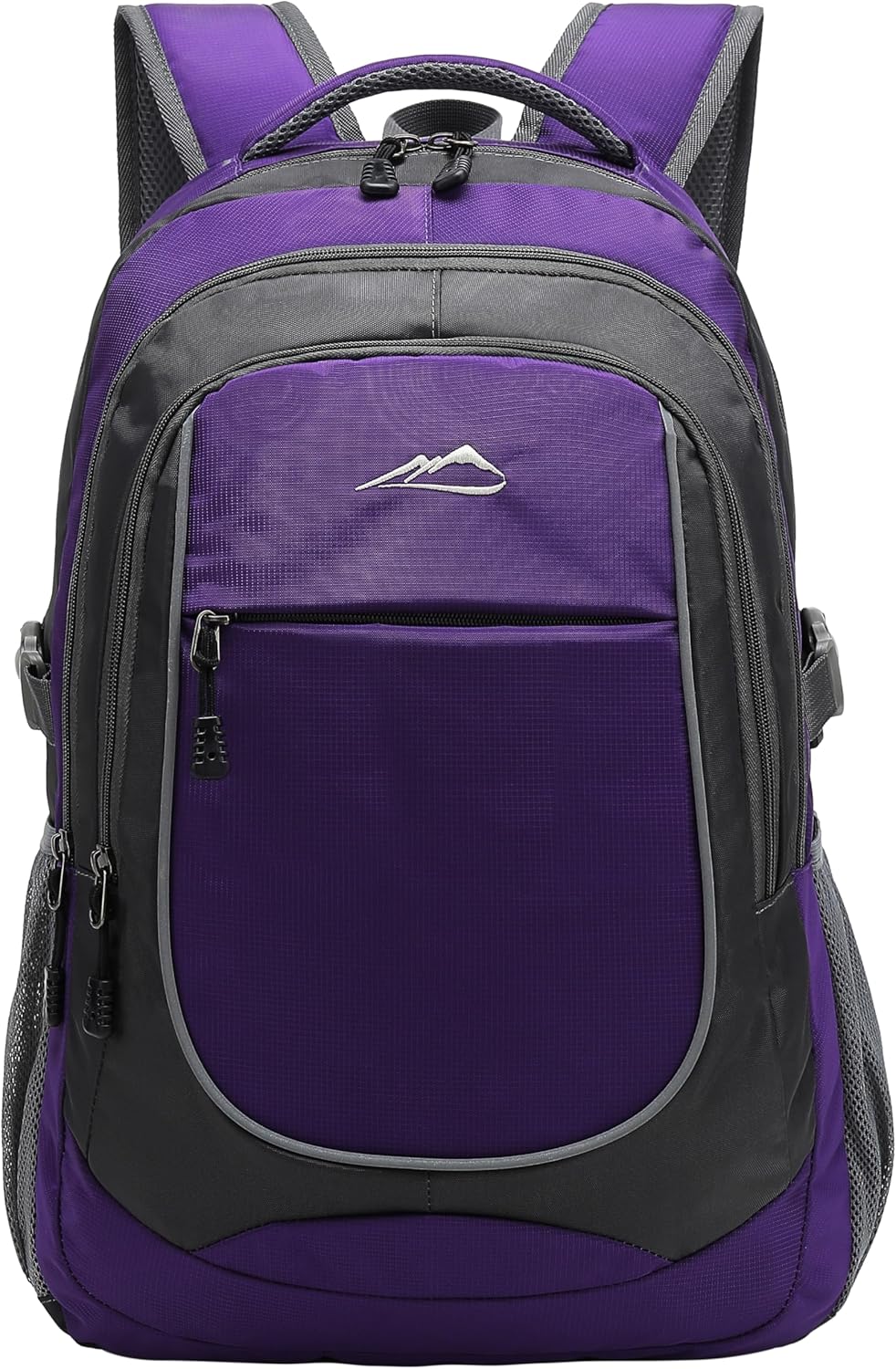 Backpack for College Sturdy Bookbag Travel Business with USB Charging Port Laptop compartment Chest Straps Anti Theft Night Light Reflective (Purple)